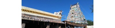231. திருமாணிகுழி